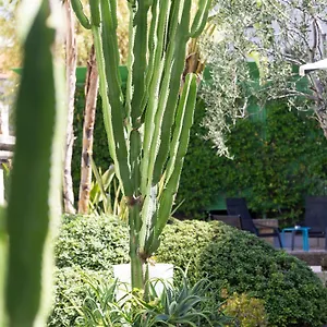 **** Hotel Mercure Centre Notre Dame Francja